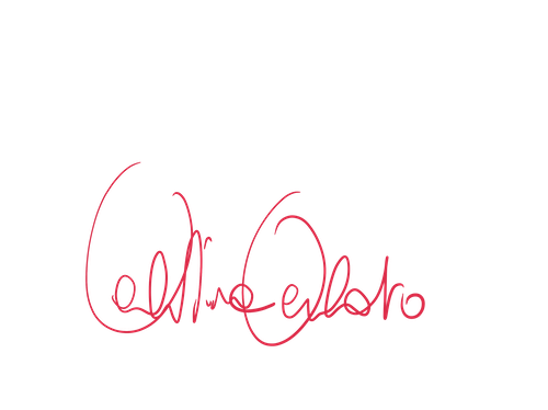 Valentina Verlato  logo